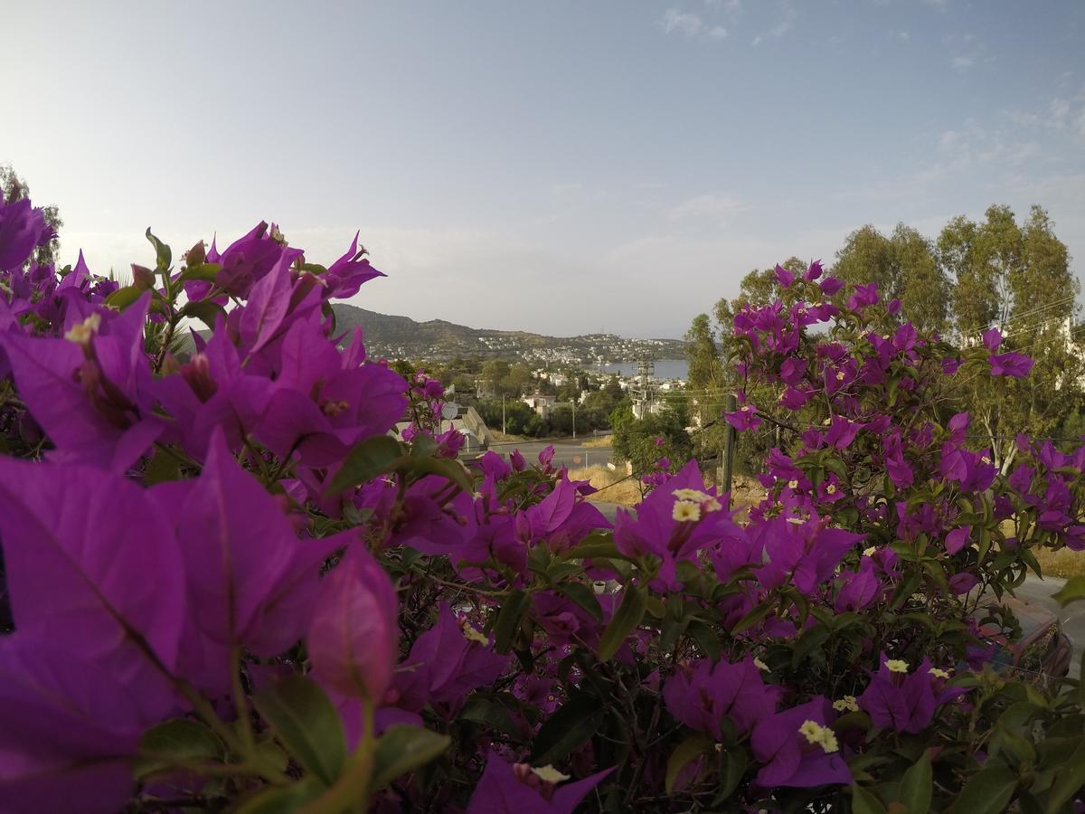 Panorama Hotel Bodrum Golturkbuku Exterior photo